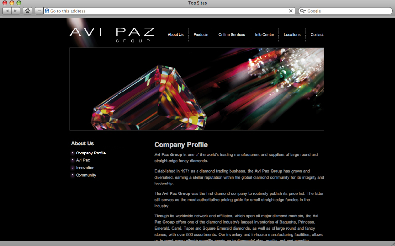 web design - Avi Paz